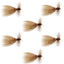 Hornberg Classic Trout & Bass Fly Set - 6 Premium Flies - Size 6 - Korvel
