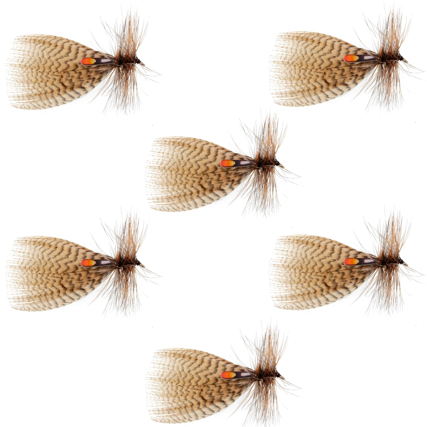 Hornberg Classic Trout & Bass Fly Set - 6 Premium Flies - Size 6 - Korvel