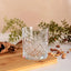 Paşabahçe Timeless Whiskey and Water Glasses Set of 4