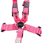 SPDZ1 SFI Seat Belt Harness 5 Point Cam Lock - Korvel