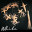 MagicTail Soft Bird Daisy Chain with Fuku Bullet