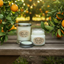 Bougie parfumée au citron et à la mandarine – Arôme d'agrumes énergisant | Mam Jam's