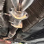 SPDZ1 K-Series 4-2-1 Exhaust Header for 04-08 TSX / 03-07 Euro Accord CL7 CL9 - Korvel