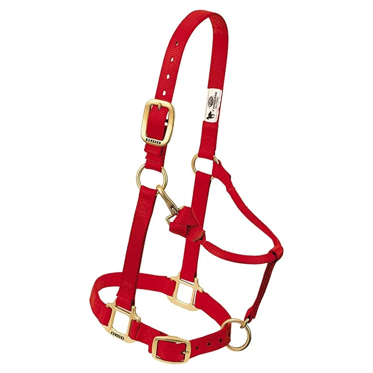 Adjustable Nylon Horse Halter | Weaver Quality - Korvel