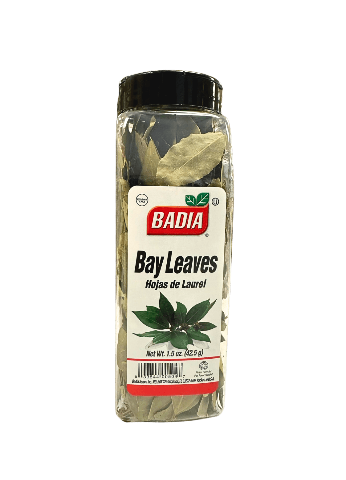 Premium Whole Bay Leaves for Culinary Excellence - Korvel