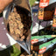 Premium Freeze-Dried Beef Liver Dog Treats