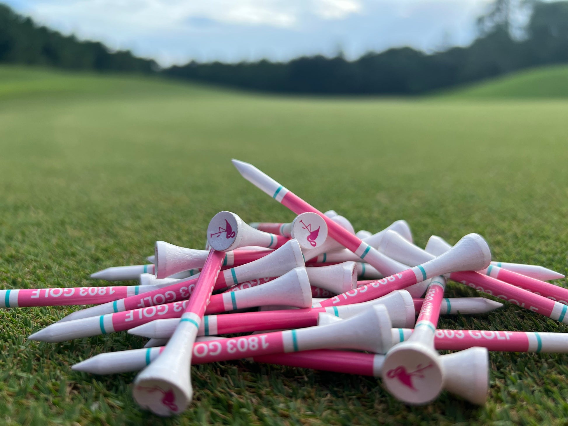 Tropical Flamingo Golf Tees - Perfect for Florida Golfers - Korvel