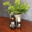 Premium Bug Spray - 2 oz. Convenient Bottle