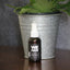 Premium Bug Spray - 2 oz. Convenient Bottle