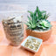 Tide Pool Tranquility Tea Bath - Korvel