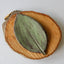Elegant Handmade Leaf Soap Dish - Korvel
