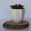 Charming Mini Ceramic Planter for Your Home - Korvel