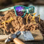 “Electric Dinotopia Carnival” Premium Polarized Sunglasses - Korvel