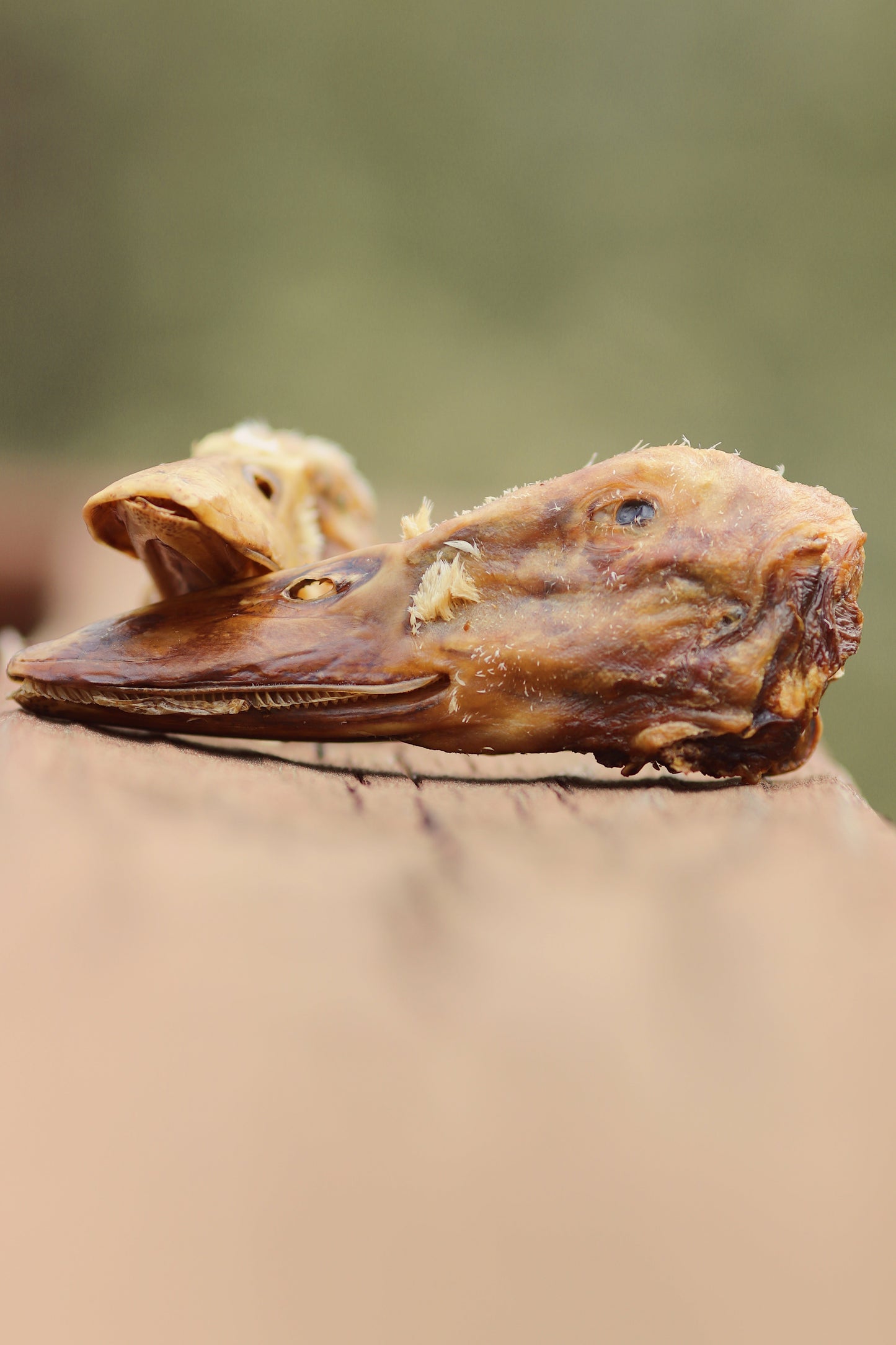Friandises savoureuses pour chiens à la tête de canard - Naturelles et nutritives