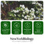 Crème pour les pieds à l'huile d'arbre à thé de New York Biology - 8 oz
