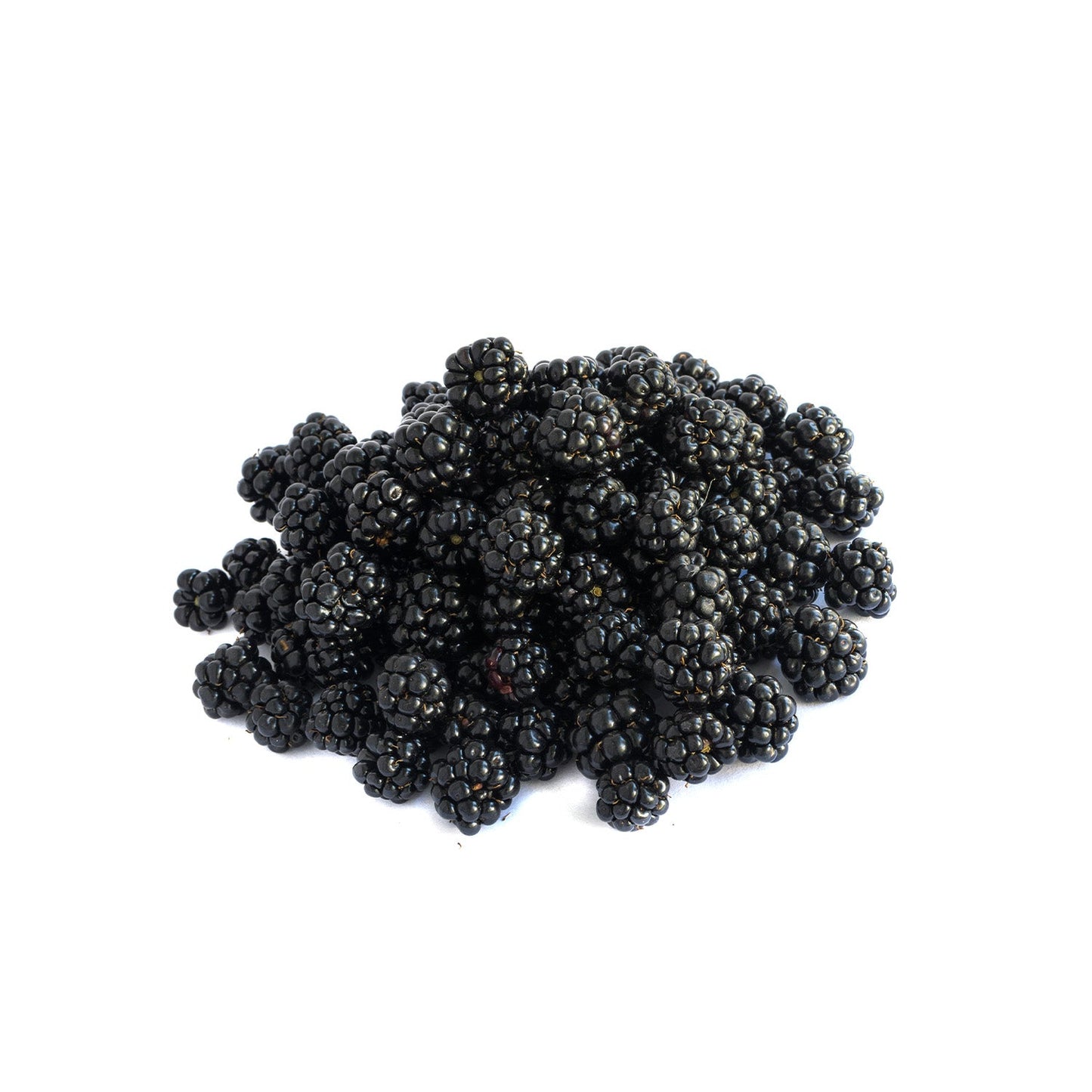 Feast Frozen Blackberries (Donuk Böğürtlen) – 350g