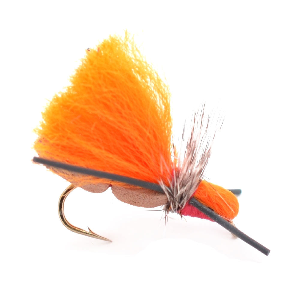 Ultimate Trout Fly Collection - 16 Essential Flies for Fishing