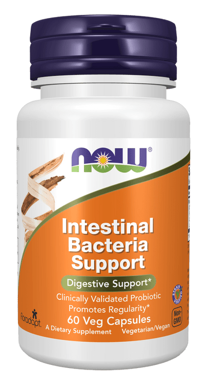 Advanced Gut Health Probiotic Formula - Korvel