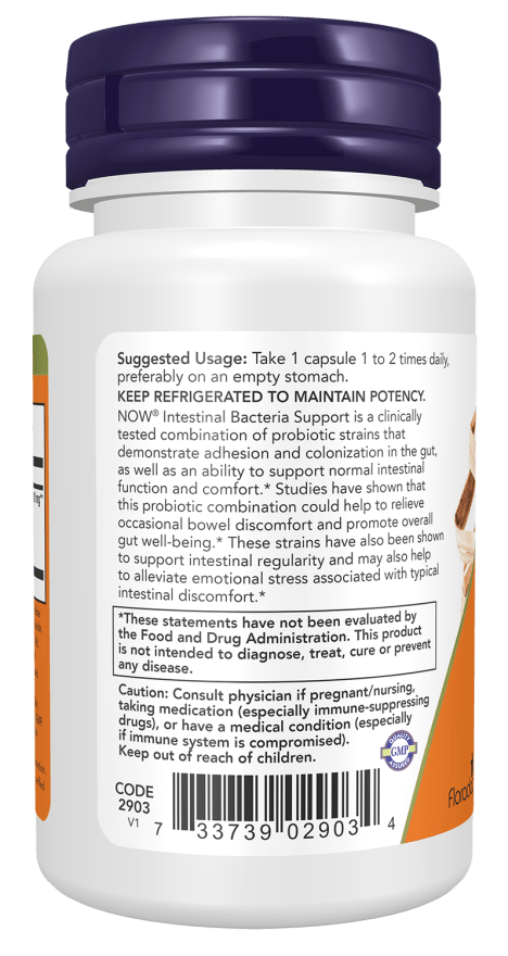 Advanced Gut Health Probiotic Formula - Korvel
