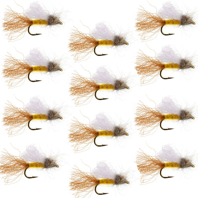 Amber Iris Caddis Emerger Caddis  Trout Dry Fly - 12 Flies Hook Size 16 - Korvel