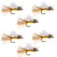 Amber Iris Caddis Emerger Caddis  Trout Dry Fly - 6 Flies Hook Size 16 - Korvel