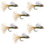 Olive Iris Caddis Emerger Caddis  Trout Dry Fly - 6 Flies Hook Size 14 - Korvel