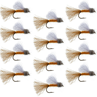 Orange Iris October Caddis Emerger Caddis  Trout Dry Fly - 12 Flies Hook Size 8 - Korvel