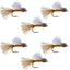 Orange Iris October Caddis Emerger Caddis  Trout Dry Fly - 6 Flies Hook Size 8 - Korvel