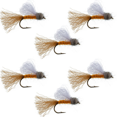 Orange Iris October Caddis Emerger Caddis  Trout Dry Fly - 6 Flies Hook Size 8 - Korvel