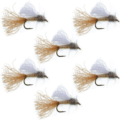 Tan Iris Caddis Emerger Caddis  Trout Dry Fly - 6 Flies Hook Size 14 - Korvel