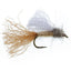 Mouche sèche émergente de caddis Tan Iris pour truite - 6 mouches, hameçon taille 14