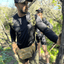 Tactical Waist Bag & MOLLE EDC Pouch for Outdoor Use