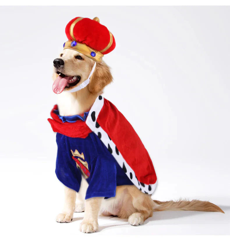 Pet King Cape Accessory Set for Dogs