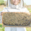 Gentle Milk & Honey Tallow Goat Milk Soap Bar - Fragrance Free