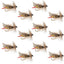 Joe's Hopper Yellow Foam Body Grasshopper Fly - 1 Dozen Flies Hook Size 10 - Korvel