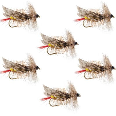 Joe's Hopper Yellow Foam Body Grasshopper Fly - 6 Flies Hook Size 8 - Korvel