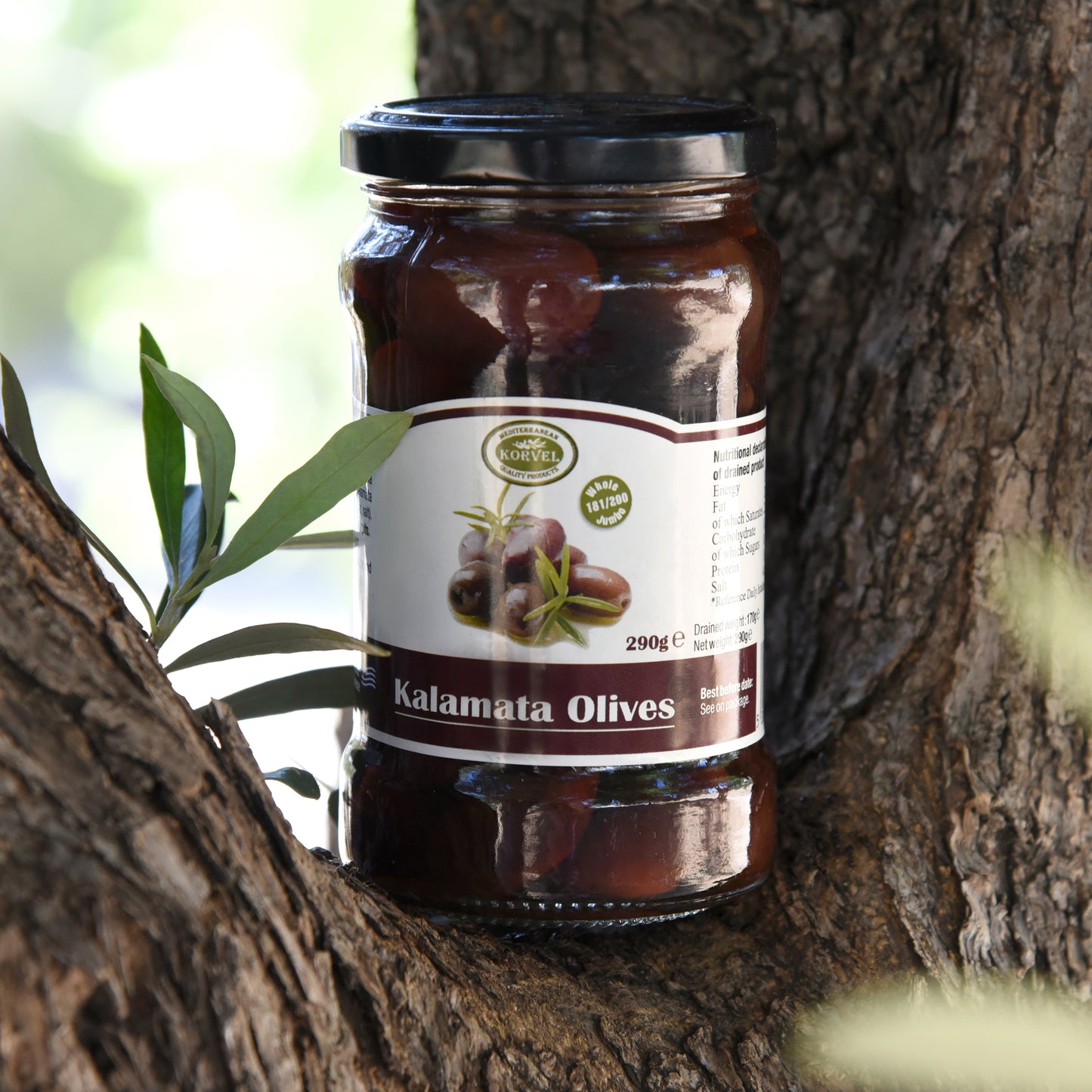 KORVEL Greek Kalamata olives whole, Extra Large, 10.65 oz.