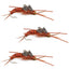 Triple Pack of Gold Bead Kaufmann's Stonefly Nymphs with Rubber Legs - Size 10 Wet Flies - Korvel