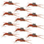 Premium Tungsten Bead Kaufmann's Brown Stonefly Nymphs with Rubber Legs - 12 Pack, Size 6 - Korvel