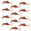 Premium Tungsten Bead Kaufmann's Brown Stonefly Nymphs - 12 Pack, Size 8 - Korvel