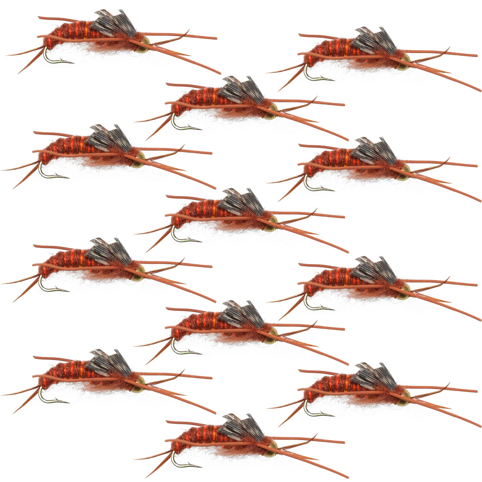 Premium Tungsten Bead Kaufmann's Brown Stonefly Nymphs - 12 Pack, Size 8 - Korvel