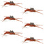 Kaufmann's Brown Tungsten Bead Stonefly Nymphs - Set of 6 Size 10 with Rubber Legs - Korvel