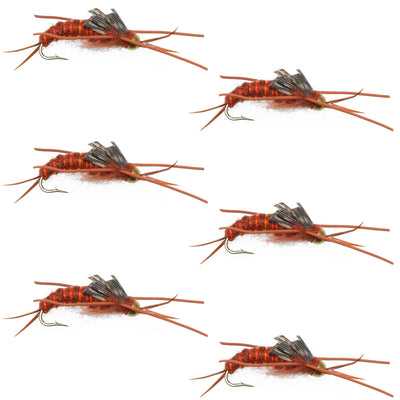 Kaufmann's Brown Tungsten Bead Stonefly Nymphs - Set of 6 Size 10 with Rubber Legs - Korvel