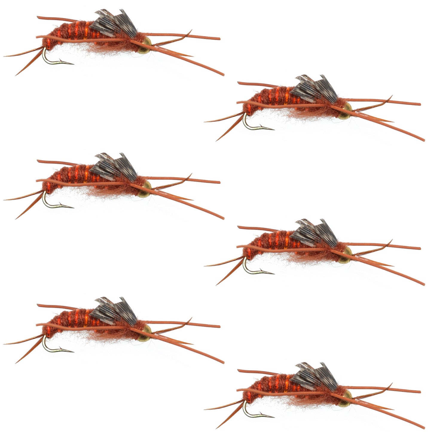 Premium Tungsten Bead Kaufmann's Brown Stonefly Nymph - 6 Pack Size 12 - Korvel