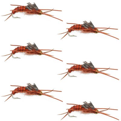 Premium Tungsten Bead Kaufmann's Brown Stonefly Nymph - 6 Pack Size 12 - Korvel