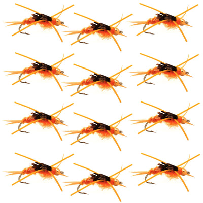 Premium Gold Bead Kaufmann's Stone Fly Nymphs - 12 Pack Size 6 - Korvel