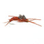 Premium Gold Bead Kaufmann's Stonefly Nymphs with Rubber Legs - Set of 6, Size 10 - Korvel
