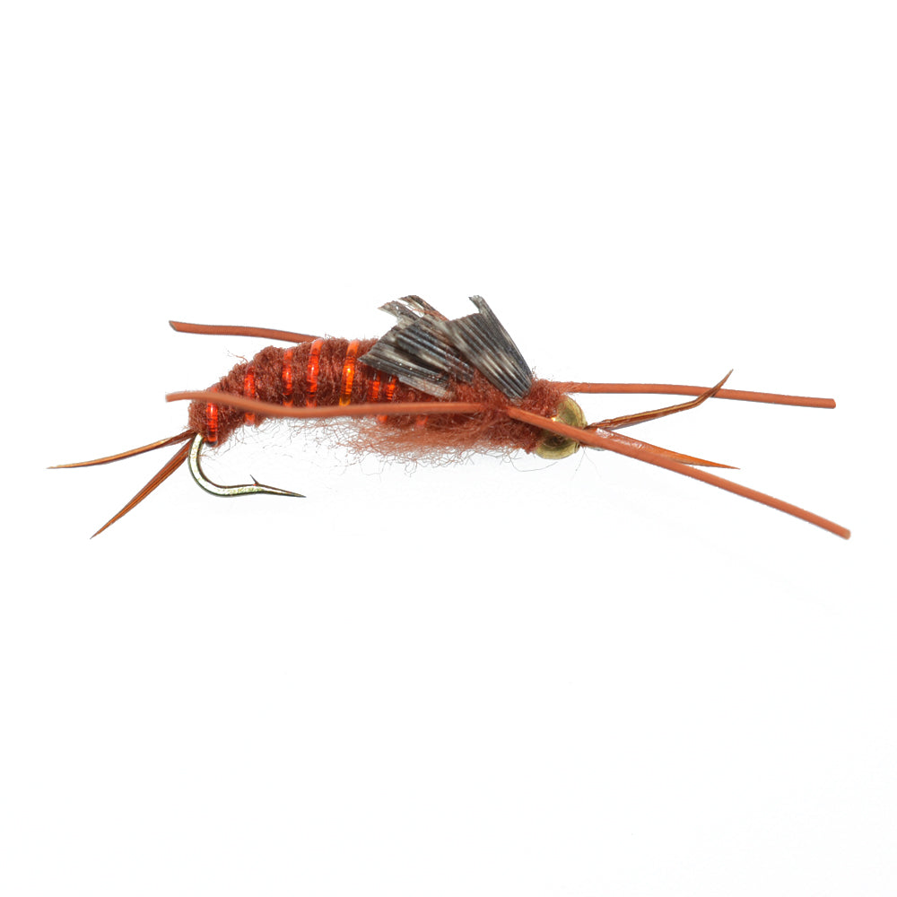 Kaufmann's Brown Stonefly Nymphs with Tungsten Beads - Set of 6 Size 8 Wet Flies - Korvel