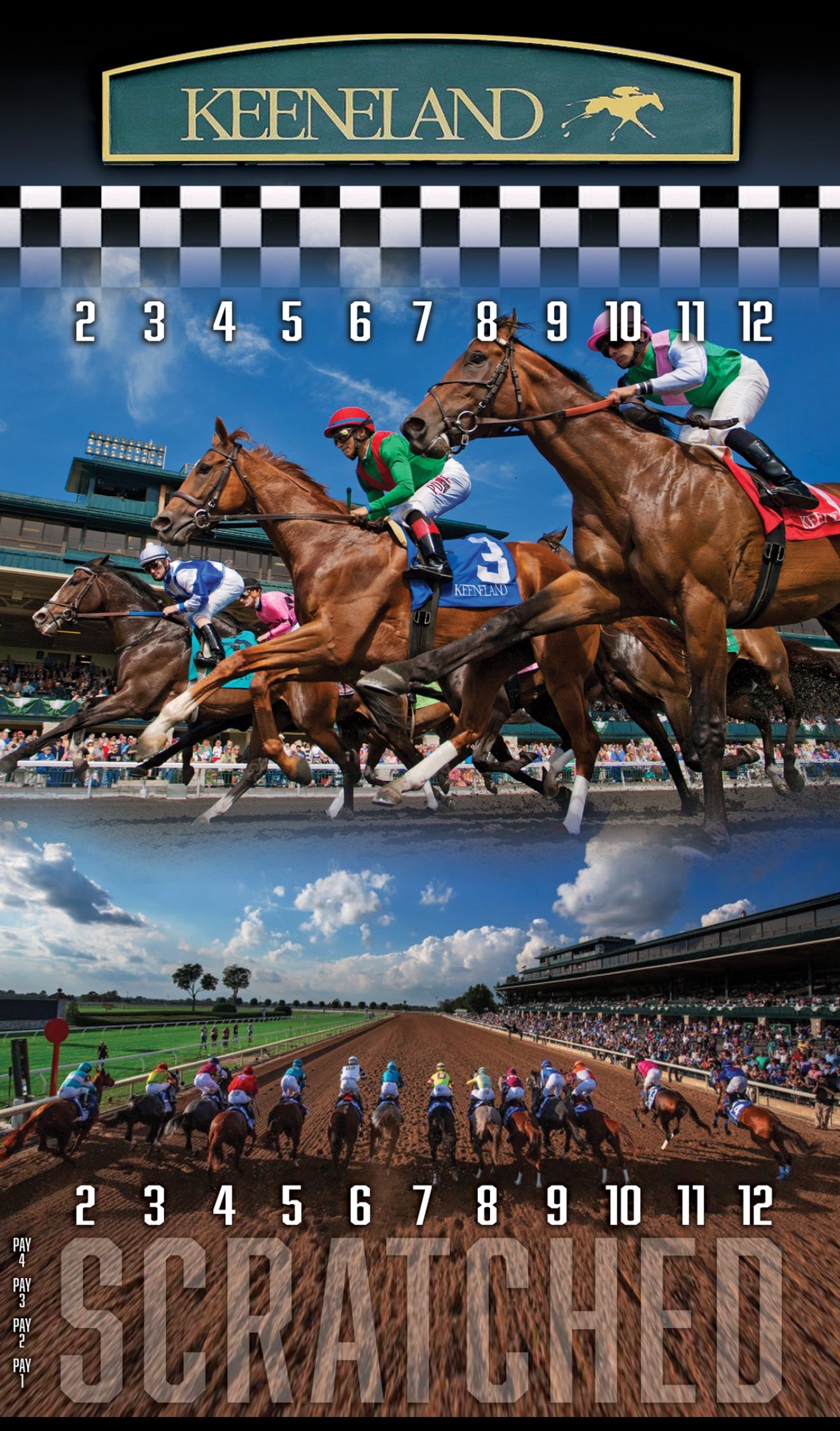 XL 18x30 Premium Brown Striped Horse Racing Game - Heavy Duty Metal Numbers 2-12 - Korvel