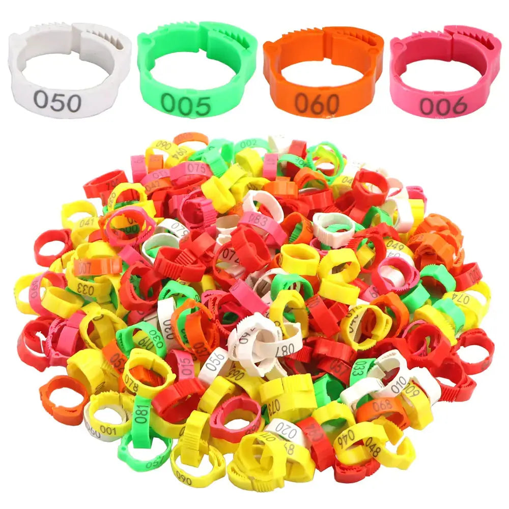 Anillos para patas de pollo - Edición Clucktastic